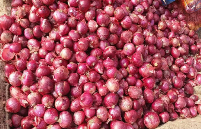 25-30 રૂપિયે વેચાતી ડુંગળીના ખેડૂતોને રૂા.12 પણ માંડ મળે છે 1 - image