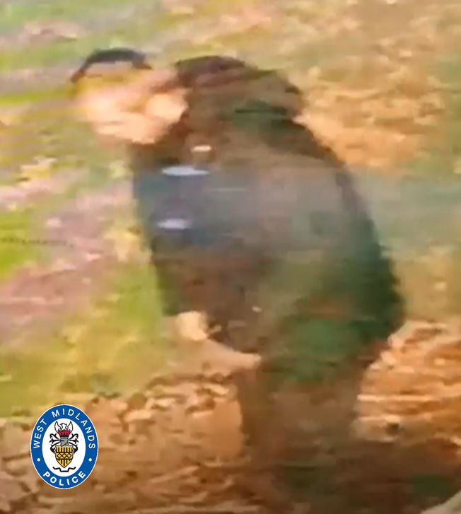Racially aggravated attack in UK Indian origin woman assaulted cops release accused image