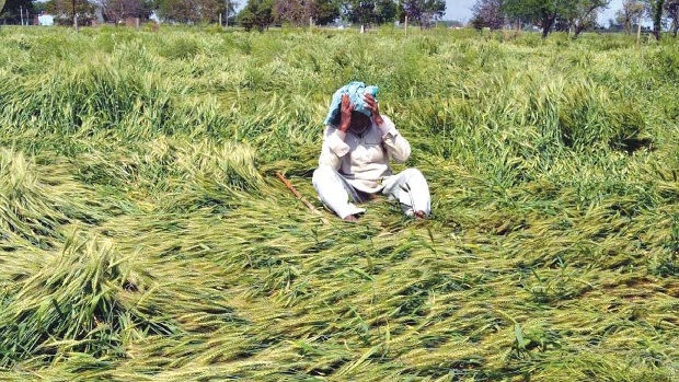 ખેડૂતોની માઠીઃપાકના ફટકા  બાદ હવે વળતરના ફોર્મ ભરવામાં ડખા,લાંબી કતારો અને સર્વર ડાઉન 2 - image