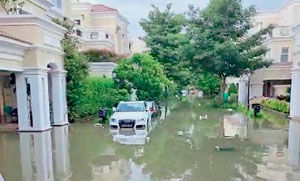 રશ્મિકા મંદાના મેકડોનાલ્ડની બ્રાન્ડ એમ્બેસેડોર 3 - image