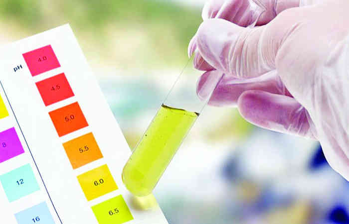 રોગનાં નિદાન અને સારવારમાં પેશાબ પરીક્ષણનું મહત્ત્વ 1 - image