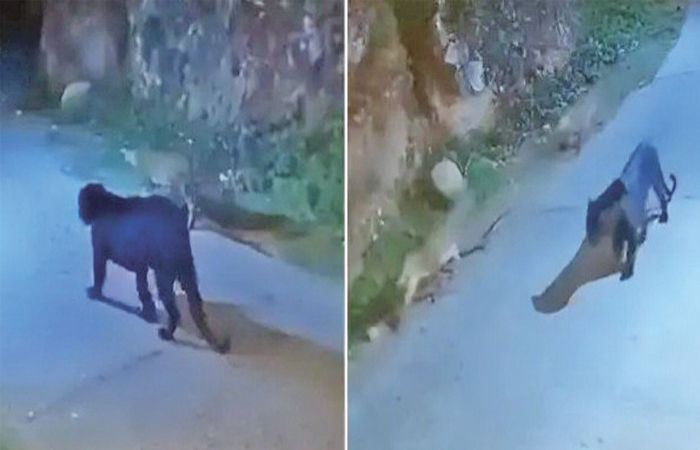 બજારની વાત                          . 2 - image