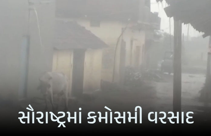 સૌરાષ્ટ્રમાં કમોસમી વરસાદ: અમરેલી-વેરાવળમાં ખેડૂતોની ચિંતા વધી, ઘોઘા બંદર પર 3 નંબરનું સિગ્નલ 1 - image