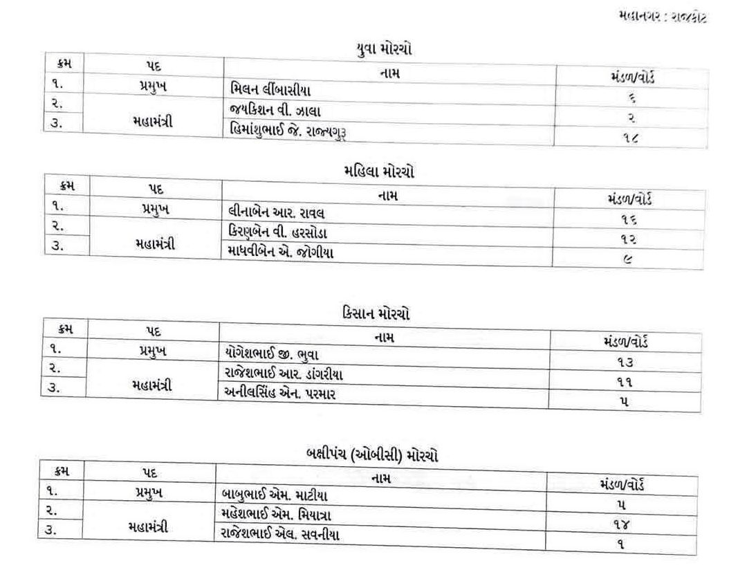 ભાવનગર-રાજકોટ શહેર ભાજપના નવા હોદ્દેદારોની નિમણૂક, જુઓ યાદી 6 - image