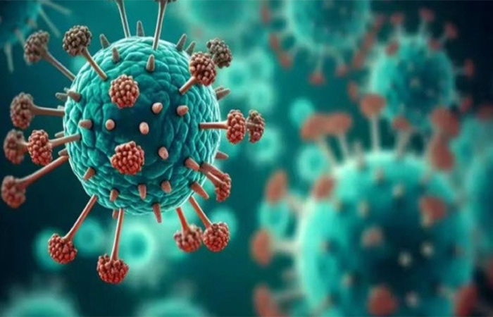 નાગપુરમાં બે કેસ નોંધાતા દેશમાં એચએમપીવીના કુલ કેસો વધીને સાત 1 - image