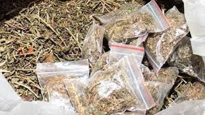 રાજસ્થાનથી ગુજરાતમાં ગાંજો સપ્લાય કરવાનું કૌભાંડ ઝડપાયુંઃચારની ધરપકડ 2 - image