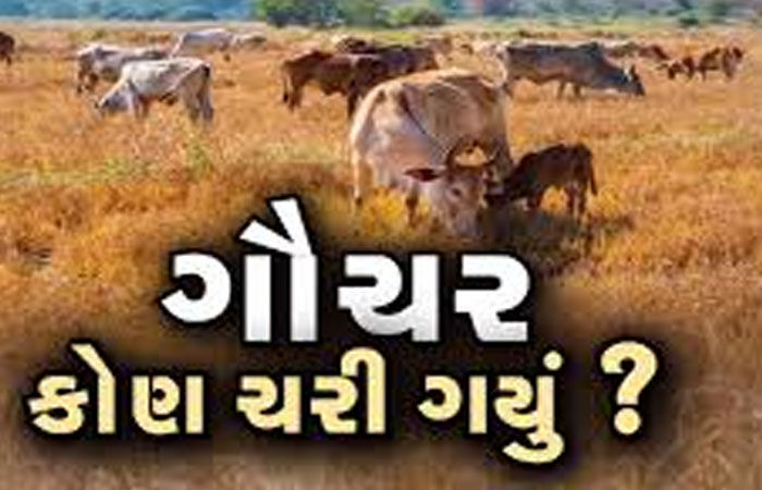 સાવરકુંડલામાં ગૌચર મામલે માલધારી સમાજનો મોરચોઃ રોષભેર સુત્રોચ્ચાર 1 - image
