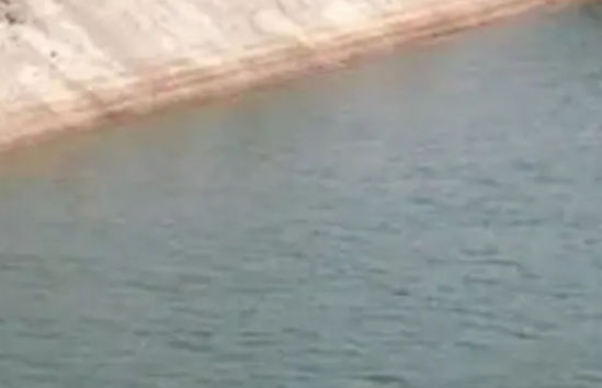 Owner of three petrol pumps jumps into canal with two daughters near Kalol, all three found dead