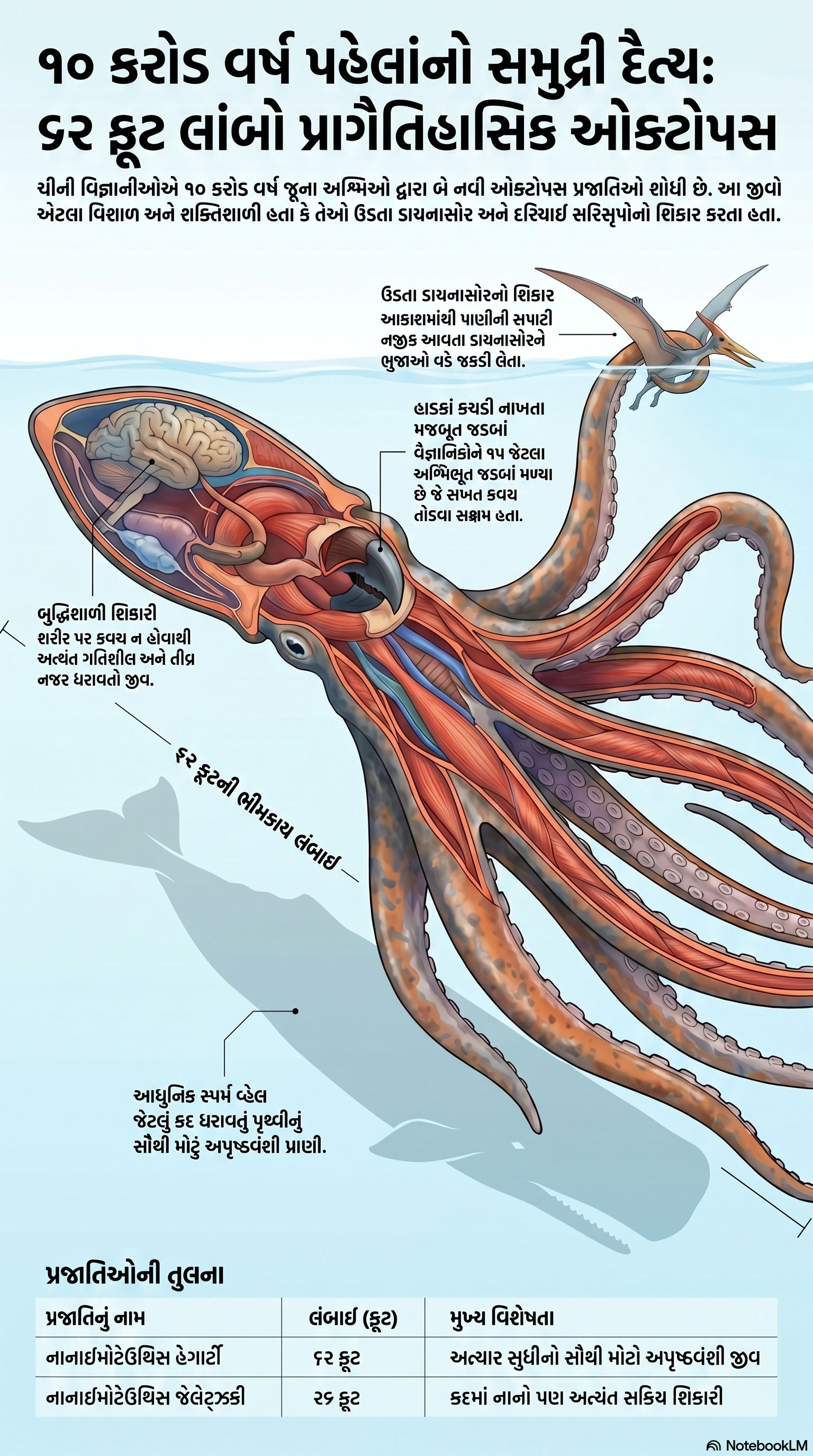 10 કરોડ વર્ષ પહેલાં સમુદ્રમાં હતો 62 ફૂટ લાંબો ‘દૈત્ય’, જે ઉડતા ડાયનાસોરને પણ ગળી જતો: ચીની વિજ્ઞાનીઓની શોધ 2 - image