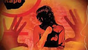 જાતીય સતામણીનો મામલો કોર્ટમાં પહોંચતા આંતરિક સમિતિની પુનઃરચના કરવા આદેશ 1 - image