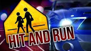 રોડ ક્રોસ કરતા વૃદ્ધ સિક્યુરિટી ગાર્ડનું વાહનના ટાયર નીચે કચડા મોત 1 - image