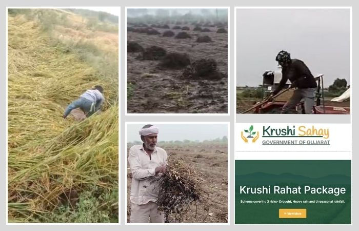 પાક નુકસાન સહાય પેકેજ: આવતીકાલથી ખેડૂતો ઓનલાઇન પોર્ટલ પર કરી શકશે અરજી, જાણો સમગ્ર પ્રક્રિયા 1 - image