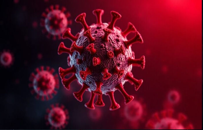 ચીનનો ખતરનાક વાયરસ HMPV દુનિયામાં ફેલાઈ રહ્યો છે, ભારતે તેનો સામનો કરવા અગાઉથી તૈયારીઓ શરૂ કરી છે 1 - image