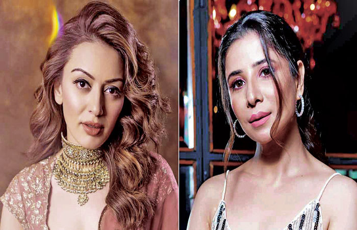 હંસિકાએ એક્સ ભાભી મુસ્કાન સામે બદનક્ષીનો કેસ કર્યો 1 - image