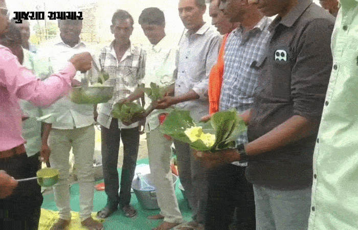 VIDEO| છોટાઉદેપુર: માત્ર ₹1 માં સમૂહ લગ્ન! મેનુમાં 'મકાઈની ઘાટ અને કઢી', આધુનિકતાના જમાનામાં આદિવાસીઓએ જાળવી પરંપરા 2 - image