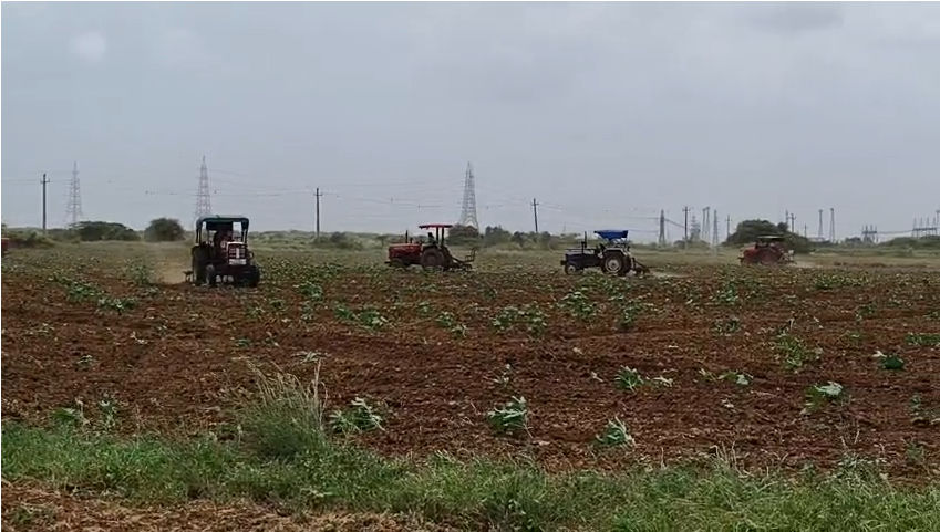 અબડાસામાં વન વિભાગની જમીન પરનું દબાણ હટાવાયું, 350 હેક્ટર જમીન ખુલ્લી કરાઈ 4 - image