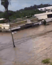 64 લોકોના મોત, 65 હજુ ગુમ...: મુશળધાર વરસાદથી મેક્સિકોમાં તારાજી 1 - image