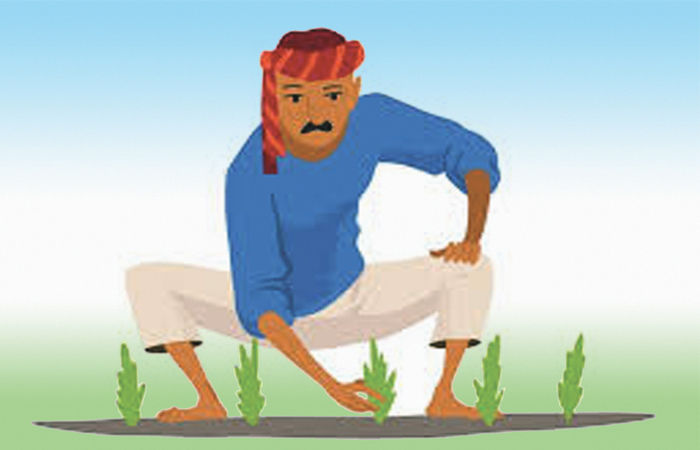 ખેડૂતોને રાહતના બજેટમાં 50 ટકા રીલ માટે 1 - image