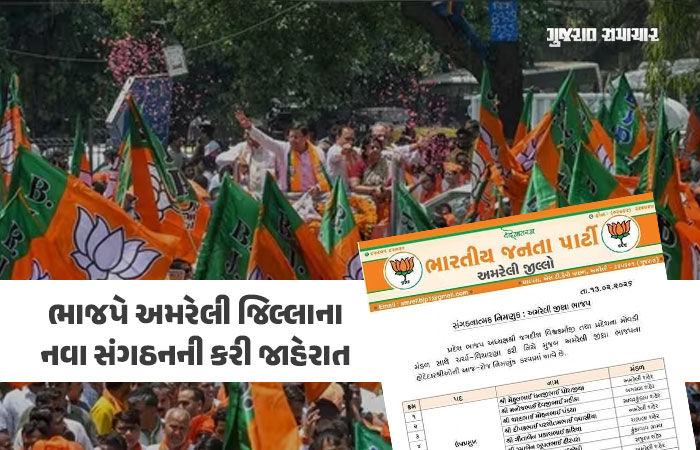 અમરેલી જિલ્લા ભાજપનું નવું માળખું જાહેર, 8 ઉપપ્રમુખ, 3 મહામંત્રી અને 8 મંત્રીને સોંપાઈ જવાબદારી 1 - image