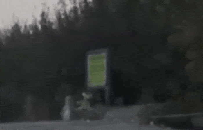 દિવાળી પર કાશ્મીરમાં આતંકી હુમલાનું ષડયંત્ર નિષ્ફળ, સુરક્ષા દળોએ IEDને નષ્ટ કર્યો 1 - image