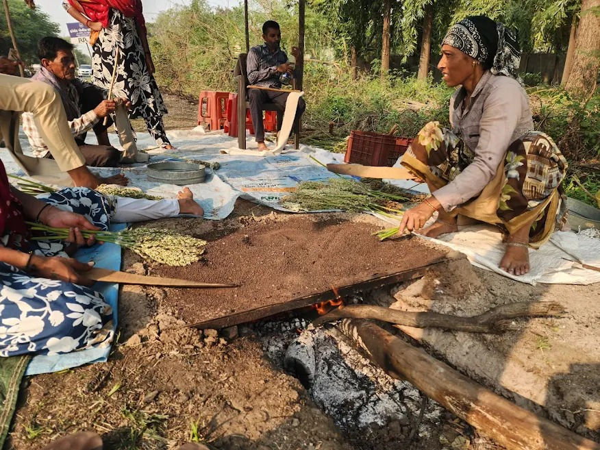 પોંકને પ્રદૂષણનું ગ્રહણ લાગે છે: સુરત દૂરથી પોંક વધુ મધુર બની રહ્યું છે, ઓલપાડ-બારડોલી નવું ડેસ્ટિનેશન 5 - તસવીર