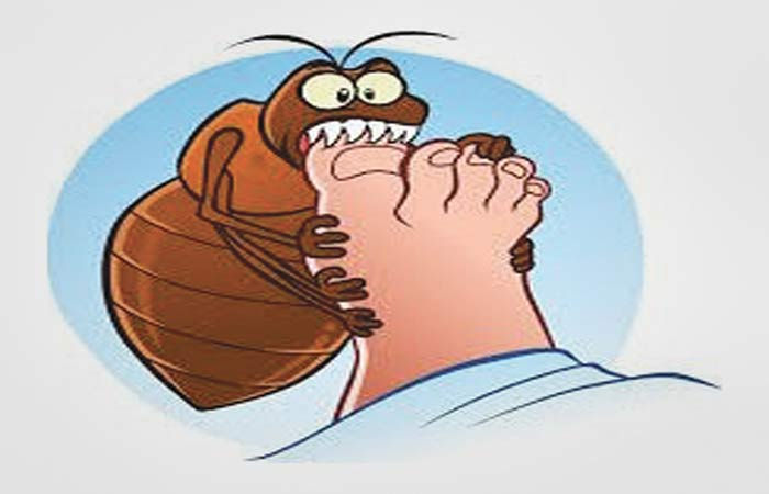 યાદ આવે વિનુ માંંકડના ફટકા અને માંકડના ચટકા 1 - image