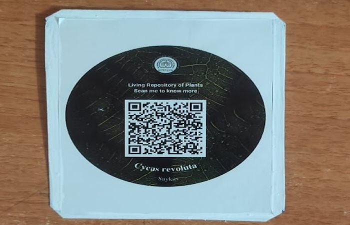 MSU કેમ્પસના દરેક વૃક્ષની આગવી ઓળખ જાણી શકાશે, વૃક્ષોને QR કોડથી સજ્જ કરવાનુ અભિયાન 2 - image