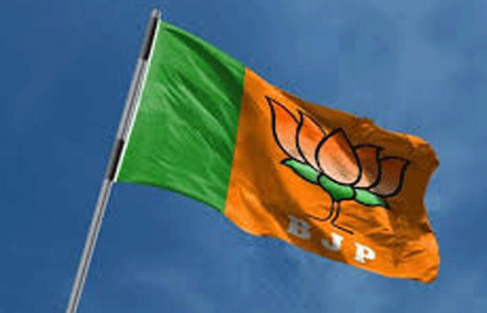 વડોદરામાં આચાર સંહિતાનો કડક અમલ શરૂ : ભાજપના ઝંડા, બેનરો ઉતારાયા 1 - image