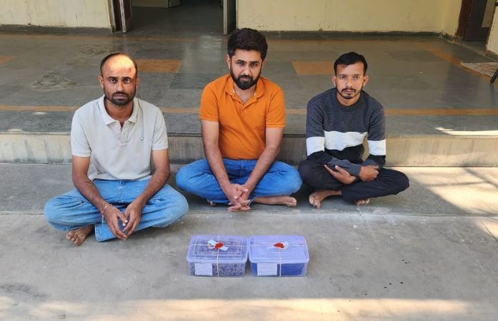 લક્ઝરી કારમાં ગાંજાની ડિલિવરી: 31stની રેવ પાર્ટીઓ પર SMCનું એક્શન, લાખ રૂપિયાના માલ સાથે 3 ઝડપાયા 1 - image