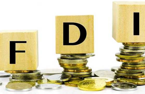 ૨૦૨૫માં ભારતમાં એફડીઆઇ ૭૩ ટકા વધીને ૪૭ અબજ ડોલર 1 - image