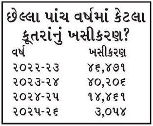 AMCનું નવું તિકડમ, અમદાવાદમાં પાળતુ કૂતરામાં હવે RFID ચિપ લગાવાશે, જાણો તેનાથી શું થશે? 2 - image