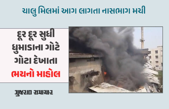 પાંડેસરા GIDCમાં ચાલુ મીલમાં આગ ફાટી નીકળતાં અફરાતફરી, ફાયરબ્રિગેડની 17 ગાડીઓ ઘટના સ્થળે 1 - image