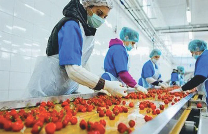 ગ્રીન હાઇડ્રોજનમાં 100 બિલિયન ડોલરના રોકાણની સંભાવના 2 - image