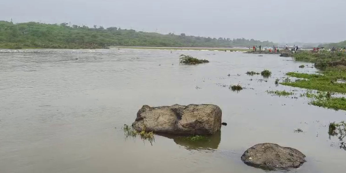 રાજુલાની ધાતરવાડી નદીમાં ડૂબેલા વધુ એક યુવકનો મૃતદેહ મળ્યો, ચાર પૈકી બે યુવકનો મૃતદેહ મળ્યો 3 - image