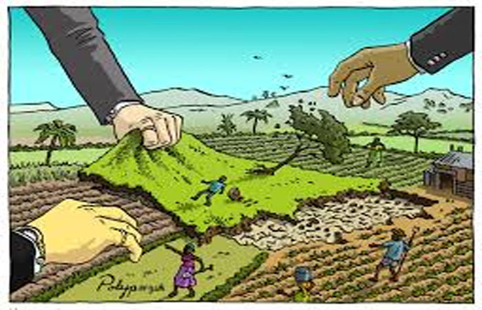 ખંભાતના વાડોલા ગામમાં જમીન પચાવી પાડનાર 4 શખ્સો સામે 'લેન્ડ ગ્રેબિંગ' 1 - image