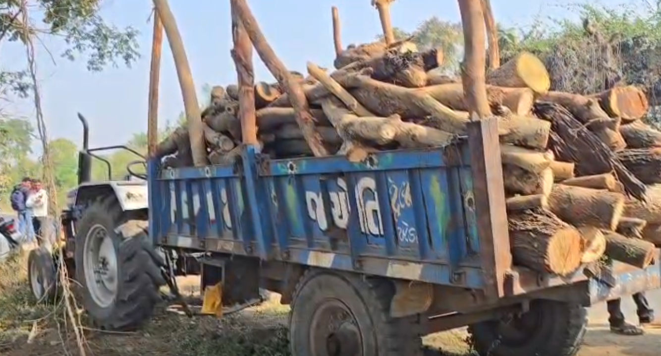 છોટાઉદેપુર: હાઈવેની કામગીરી બની કાળમુખી, ઓવરલોડ લાકડા ભરેલા ટ્રેક્ટર પરથી પટકાતા મજૂરનું મોત, 2 બાળકો નોંધારા બન્યા 2 - image