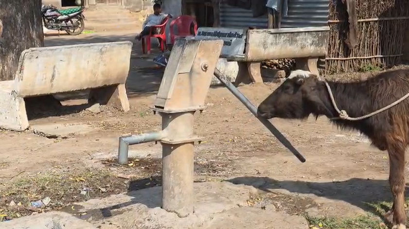 નલ સે છલ: નસવાડીના જેમલગઢમાં પાણીની ટાંકી અને નળ શોભાના ગાંઠિયા, જિલ્લાના અનેક ગામોની કફોડી હાલત 2 - image