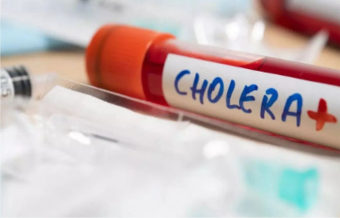 જામનગરના લાલપુરમાં કોલેરાનો એક કેસ નોંધાયો : આજની સ્થિતિએ ગ્રામ્યમાં કુલ એક દર્દી દાખલ 1 - image