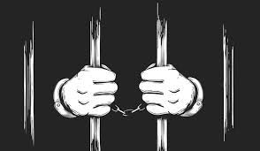 નવતર પ્રયોગ સુરત પોલીસ માટે કારગત: પોલીસના સજેશન બોક્સથી લોકોનો સંકોચ દુર થયો, ફરિયાદો-સૂચનો મળતા થયા 3 - image