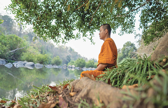 લામા યોગીએ બતાવ્યો યોગસિદ્ધિનો ચમત્કાર 1 - image