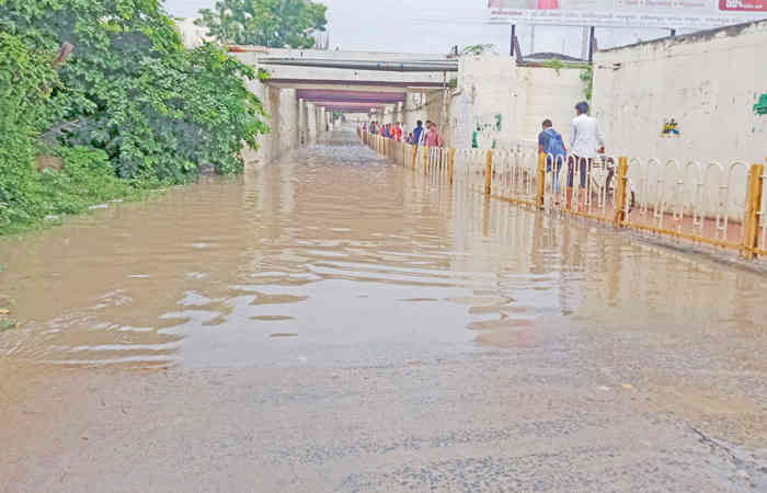 મહેસાણામાં દોઢ ઇંચ ઉઝા ,કડી વિજાપુરમાં એક ઇંચ વરસાદ | One and a half inches  of rain in Mehsana, one inch of rain in Kadi Vijapur - Gujarat Samachar