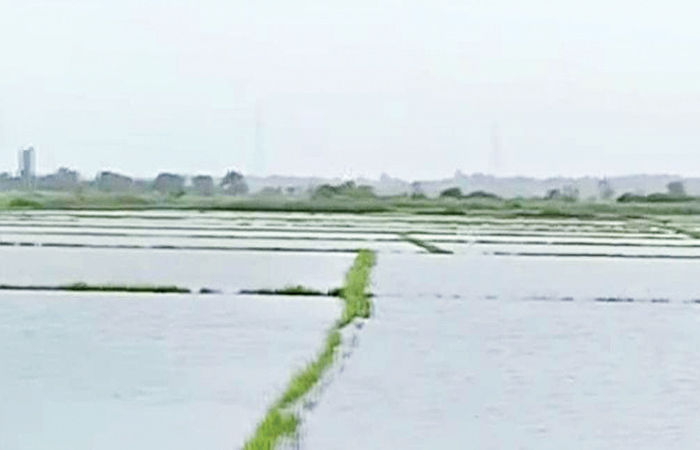 ખેડૂતોની 68,000 અરજી સામે 30,000 અરજી જ મંજૂર : માત્ર 9,071 ખેડૂતોને રૂ. 14.70 કરોડની સહાય ચૂકવાઈ 1 - image