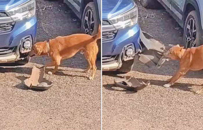 બજારની વાત                          . 4 - image