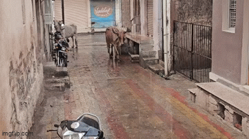 જામનગર: કાલાવડમાં ભારે ઉકળાટ બાદ કમોસમી વરસાદ, આકાશમાં કાળા ડિબાંગ વાદળોથી ગરમીમાં રાહત પણ ખેડૂતો ચિંતિત! 1 - image