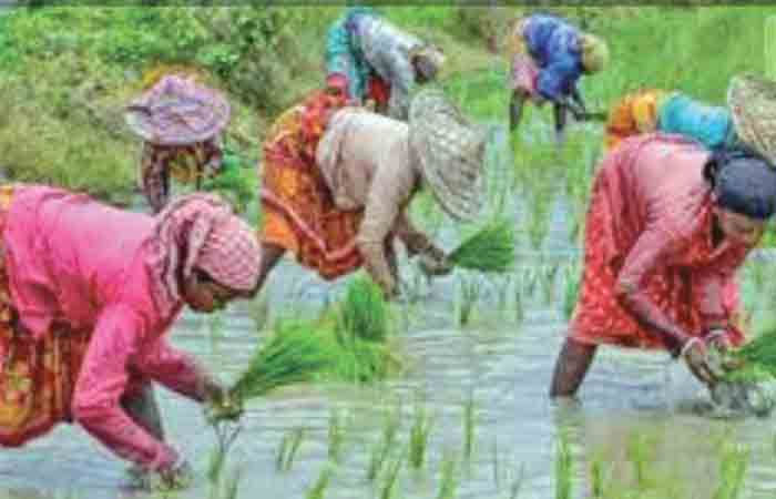 એશિયામાં અલ્પવર્ષા-યુગની શરૂઆત થઈ છે 1 - image