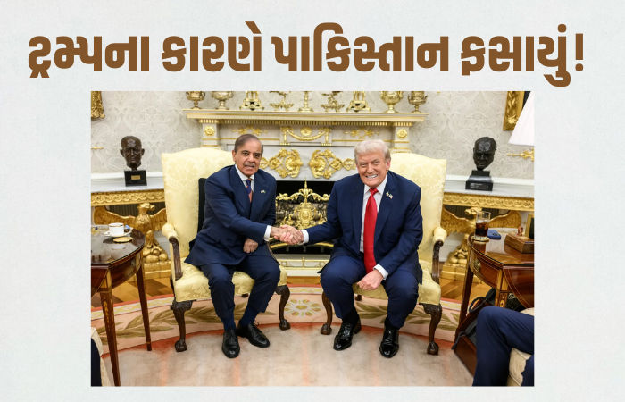 'તાત્કાલિક કરાર પર સહી કરો...', ટ્રમ્પની નવી ચાલના કારણે પાકિસ્તાન સહિતના મુસ્લિમ દેશો ધર્મસંકટમાં! 1 - image