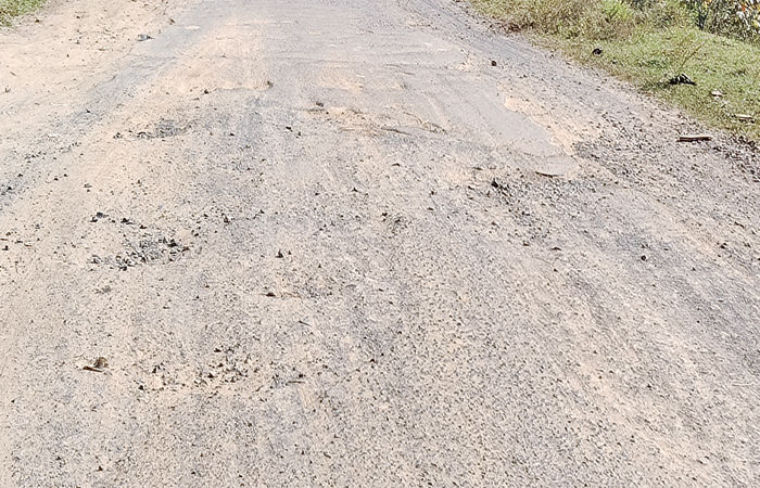 પામોલ- બોરસદ રોડની રૂા. 3.25 કરોડનું ટેન્ડર મંજૂર છતાં પણ વર્ષથી બનતો નથી 1 - image