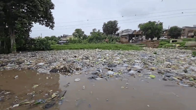 વગર વરસાદે બદરખા બન્યું 'બેટ': કેડ સમા પાણી ભરાતા લોકોમાં રોષ, દારૂની પોટલીઓ સહિતનો કચરો તણાઈ આવ્યો 1 - image