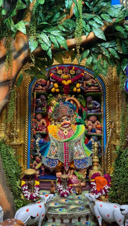 ફોટા: સલંગપુરમાં જનમાષ્ટમી, કિશ્તાભંજાન દાદાની થીમ આધારિત શણગાર, દો દર્શન | જનમાષ્ટમી 2025 સલંગપુર કશ્તભંજન દાદા ગોકુલ થીમથી શણગારેલી છે