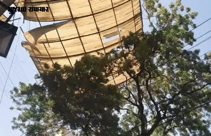 VIDEO: જામનગરમાં તોફાની પવનથી ઉડેલો ડોમ વીજ તાર ઉપર લટક્યો, ભારે જહેમત બાદ નીચે ઉતારાયો 2 - image